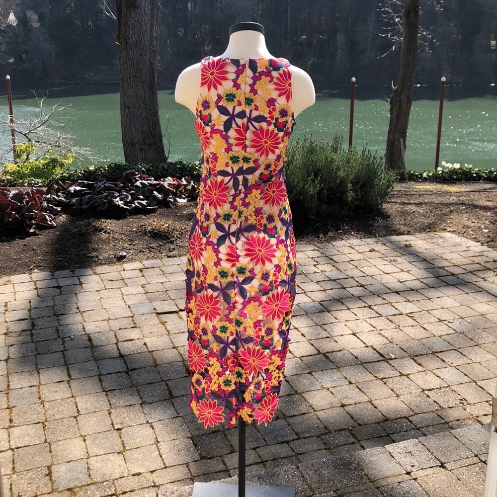 Alexia Admor Lace Illusion Dress - Picture 4 of 8